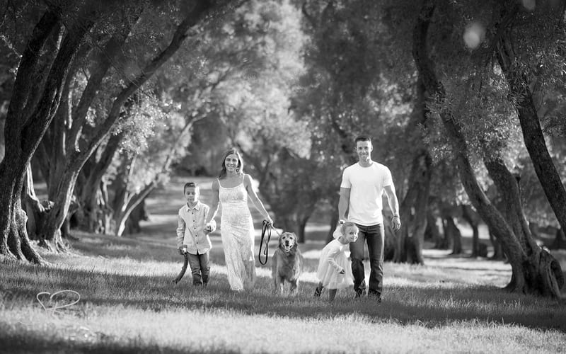 Lavenda Family 2025